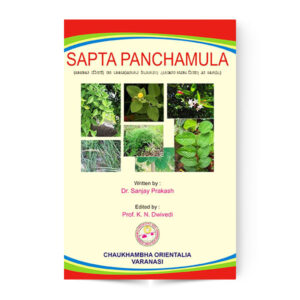 Sapta Panchamula