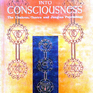 Journey Into Consciousness