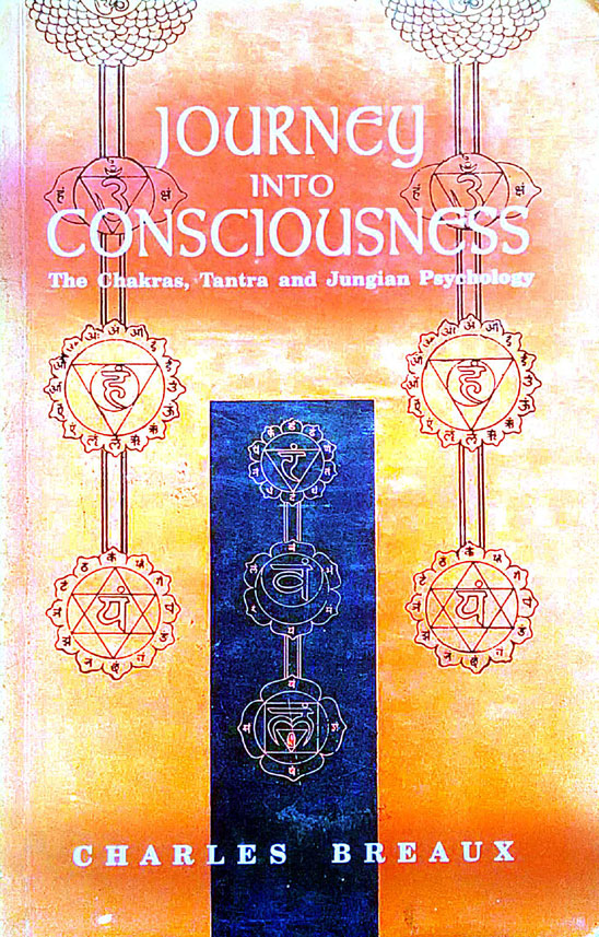 Journey Into Consciousness